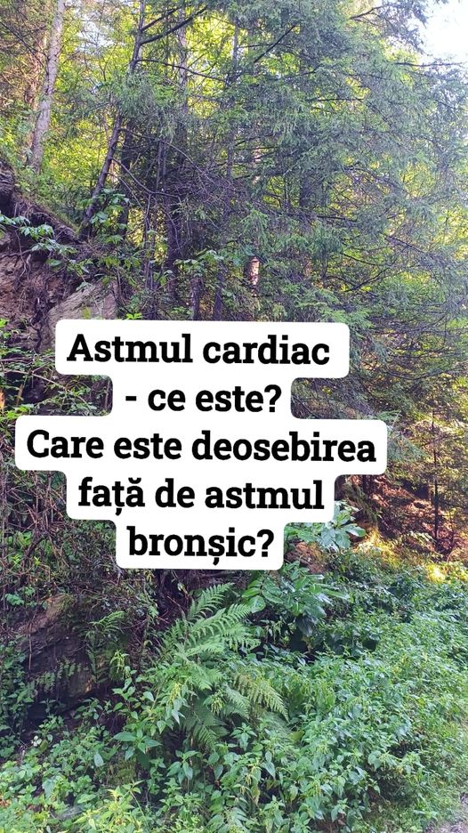 Astmul Cardiac Deosebiri Astm Bronșic